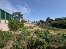 Sale Land merdekan, -6