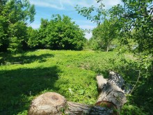 sale-land-ismayilli-22-1751867762