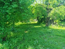 İsmayıllı Sale Land, -3