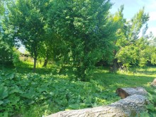 İsmayıllı Sale Land, -4