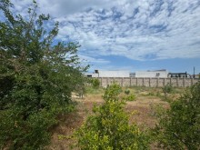 prodazha-uchastok-baku-khazarskiy-mardakan-3039-1751877459-s