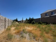 merdekan Satılır Torpaq, -3