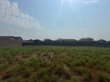 Satılır Torpaq shagan, -2