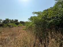 Satılır Torpaq suvelan, -3