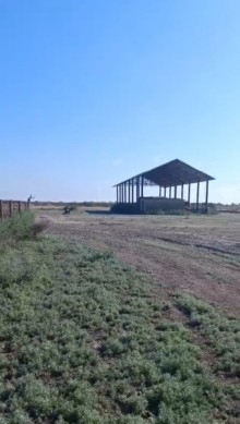 Neftçala ferma Satılır Obyekt, -5