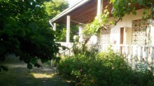 satilir-5-otaq-heyet-evi-samaxi-7-1754331154-s
