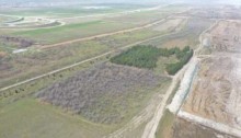 Satılır Torpaq Giləzi, -3