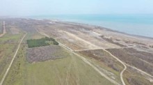 Satılır Torpaq Giləzi, -5