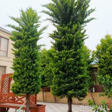 Продажа Дача Buzovnada tam mərkəzdə 26 saylı məktəbin yanı, -3