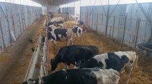 sale-commercial-property-xachmaz-8-1755944481