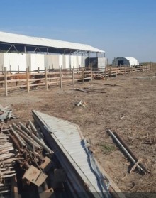 Sale FERMA Xaçmaz, -4