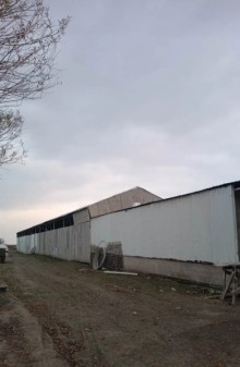 Sale FERMA Xaçmaz, -5