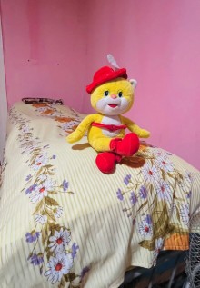 Rent (daily) houses Goradil, -18