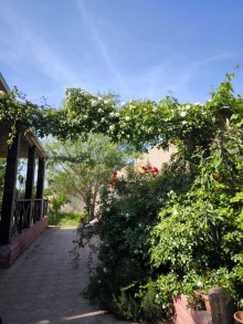 In Goradil gardens, near the beach, a house for sale, -5