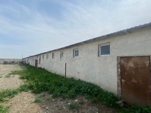 FERMA satılır Pirəkəşkül, -9