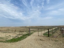 FERMA satılır Pirəkəşkül, -12