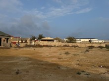 satilir-torpaq-baki-xezer-buzovna-239-1764663664